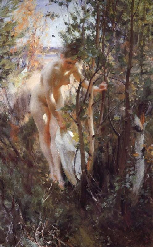 Anders Zorn Unknow work 88 china oil painting image